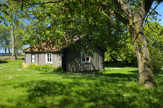 %_tempFileNameas_oland_2506037135_skogedal%