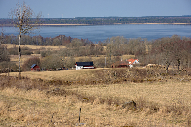 %_tempFileNamebjallum__vg_250326593_skogedal%