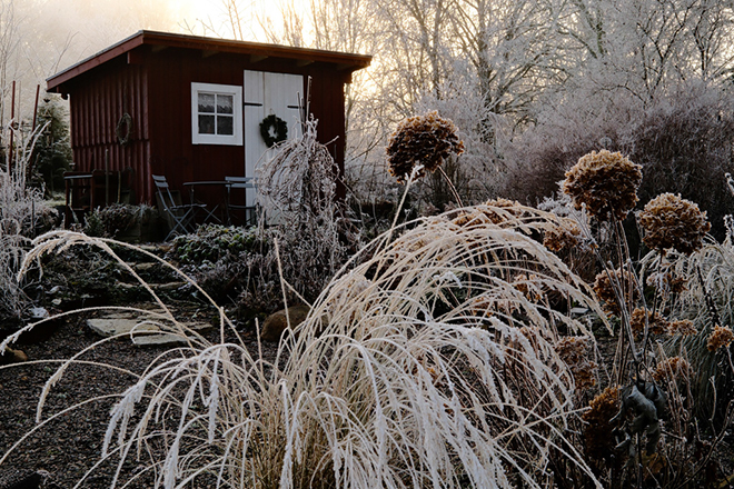 %_tempFileNamebroddetorp_241212F318_skogedal3%