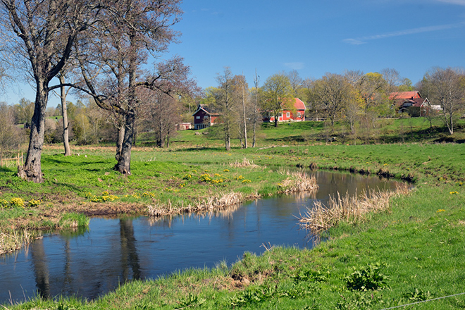 %_tempFileNamehornborga_vg_2504256778_skogedal%