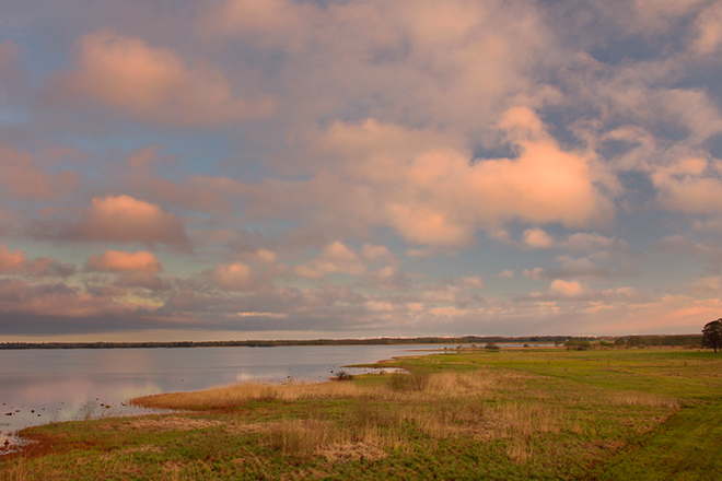 %_tempFileNamehornborgasjon_2504246747_skogedal%
