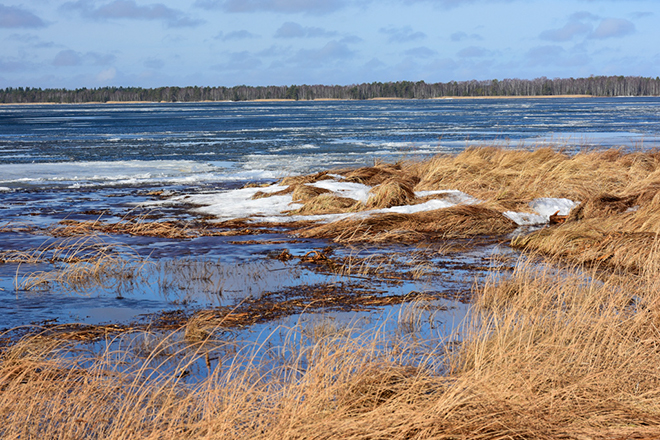%_tempFileNameislossning_hornborgasjon_2603179347_skogedal%