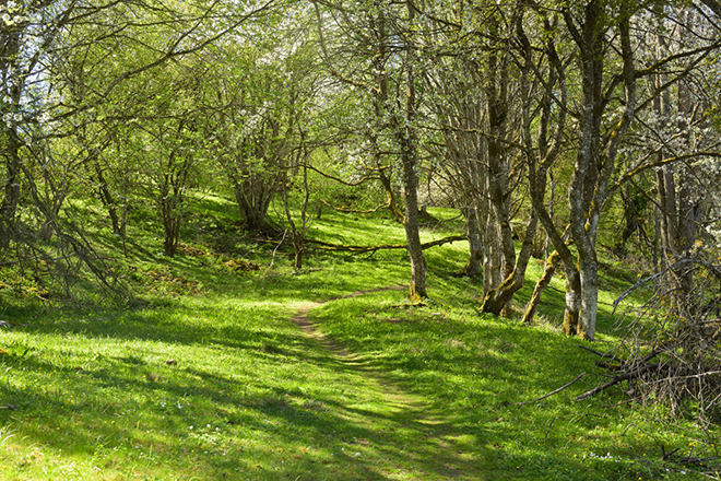 %_tempFileNameoglunda_vg_2605079475_skogedal%