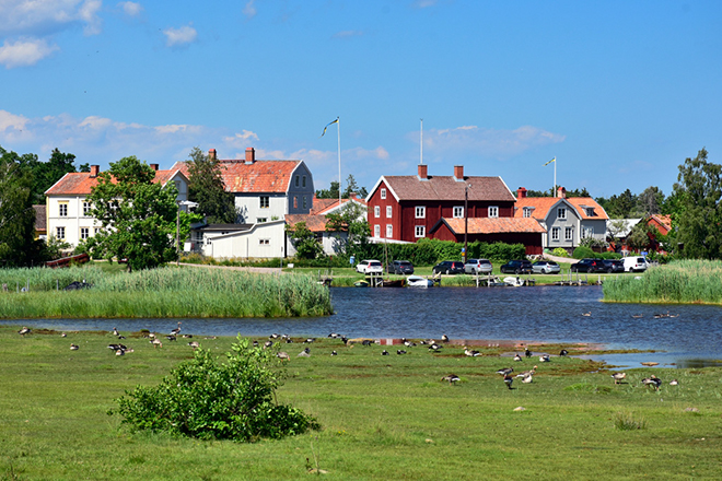 %_tempFileNamepataholm_smaland_2606259657_skogedal%