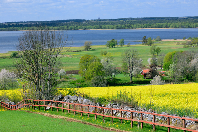 %_tempFileNameraps_hornborgasjon_vg_2505026851_skogedal%