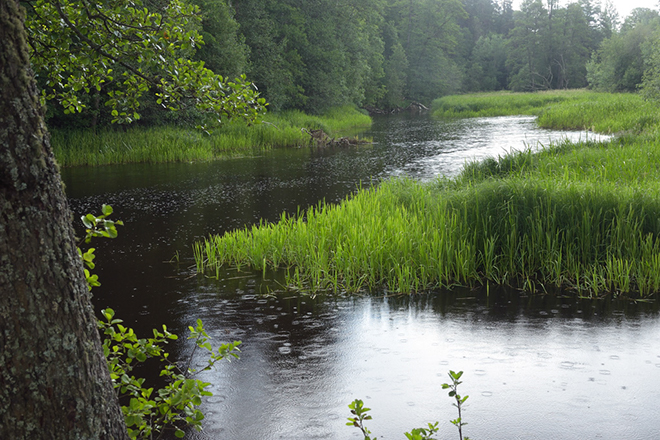 %_tempFileNameregn_karlslund_orebro_narke_2406185861_skogedal%