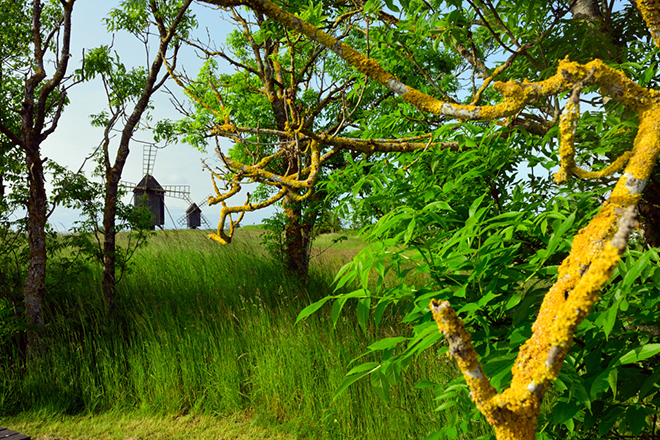 %_tempFileNameresmo_oland_2506057192_skogedal%