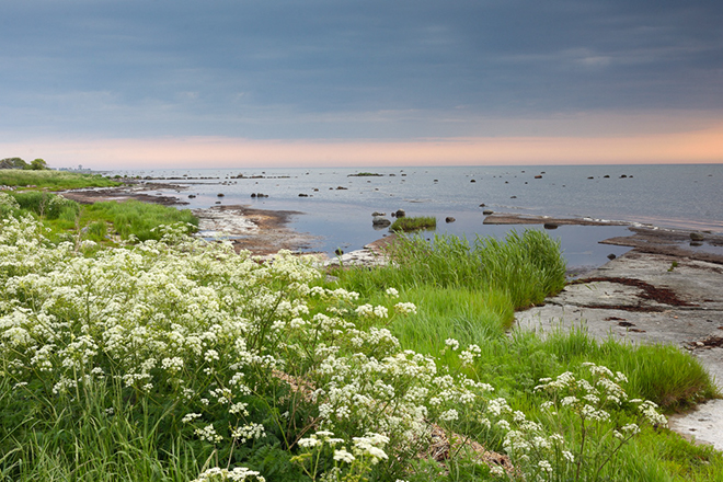 %_tempFileNameseby_oland_2506047160_skogedal%