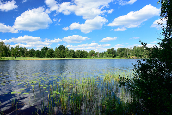%_tempFileNamesmaland_2606279656_skogedal%