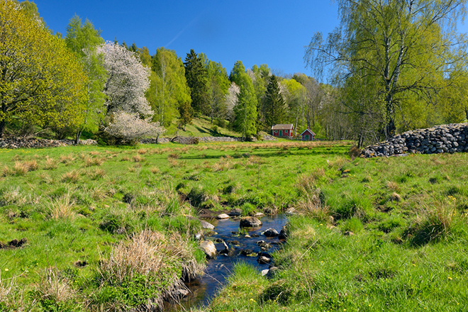 %_tempFileNamestenmurslandskapet_floby__vg_2605089536_skogedal%