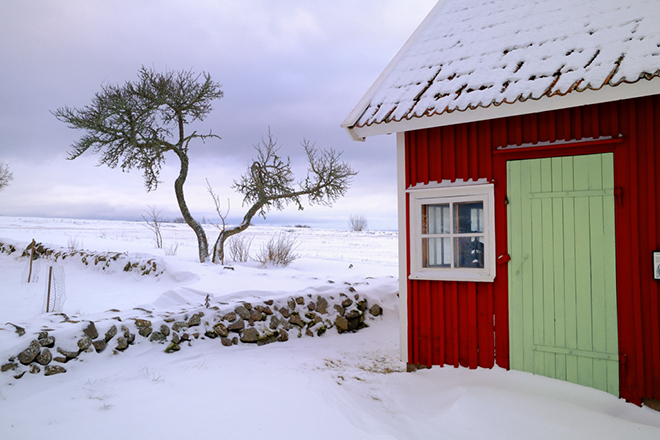 %_tempFileNametrad_vg_2601094655_skogedal%