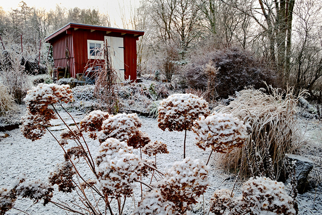 %_tempFileNametradgard_2512234241_skogedal_01%