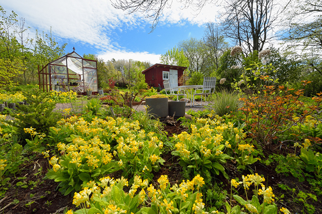 %_tempFileNametradgard_broddetorp_2505086872_skogedal%