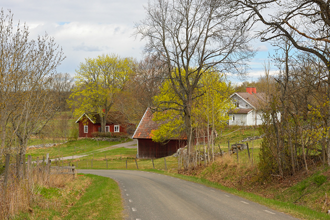 %_tempFileNameugglum_2604259355_skogedal%