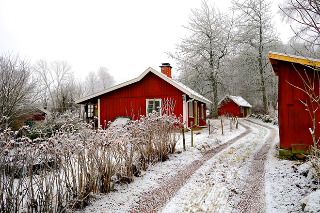 %_tempFileNamevarnhem_vg_2512254412_skogedal%