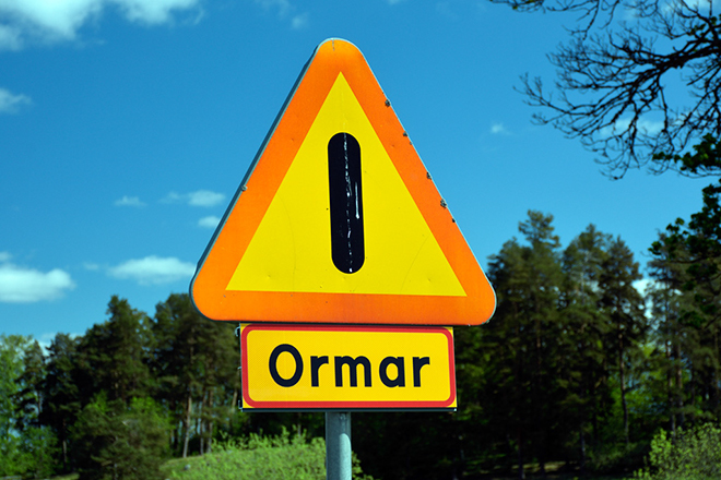 %_tempFileNamevarning_ormar_kvismaren_narke_2505146951_skogedal%