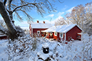 broddetorp_vastergötl_2311294912_skogedal