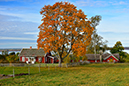 %_tempFileNamebroddetorp_vastergotland_2511149013_skogedal%