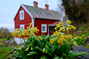 %_tempFileNamebroddetorp_vg2404270459_skogedal%