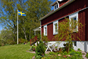%_tempFileNamebroddetorp_vg_2504306811_skogedal%