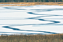 %_tempFileNamehornborgasjon_is_2411238429_skogedal%
