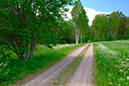 %_tempFileNamenaturreservatet_lunden_malilla_smaland_1205_skogedal%