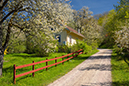 %_tempFileNameoglunda_vg_2605079505_skogedal%