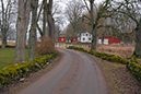 %_tempFileNamesatuna_2303185863_skogedal%