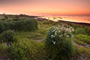 %_tempFileNameseby_oland_2506037097_skogedal%