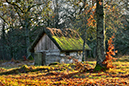 %_tempFileNameskolvene_vastergotland_2511149007_skogedal%