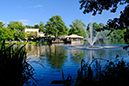 %_tempFileNameslottsskogen_goteborg_2607039376_skogedal%