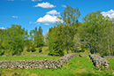 %_tempFileNamestenmurslandskapet_floby__vg_2605089546_skogedal%