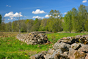 %_tempFileNamestenmurslandskapet_floby__vg_2605089548_skogedal%