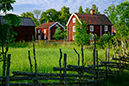 %_tempFileNamestensjo_by_smaland_2606248166_skogedal%