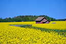 %_tempFileNamestora_mellosa_narke_2505166991_skogedal%