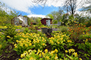 %_tempFileNametradgard_broddetorp_2505086872_skogedal%